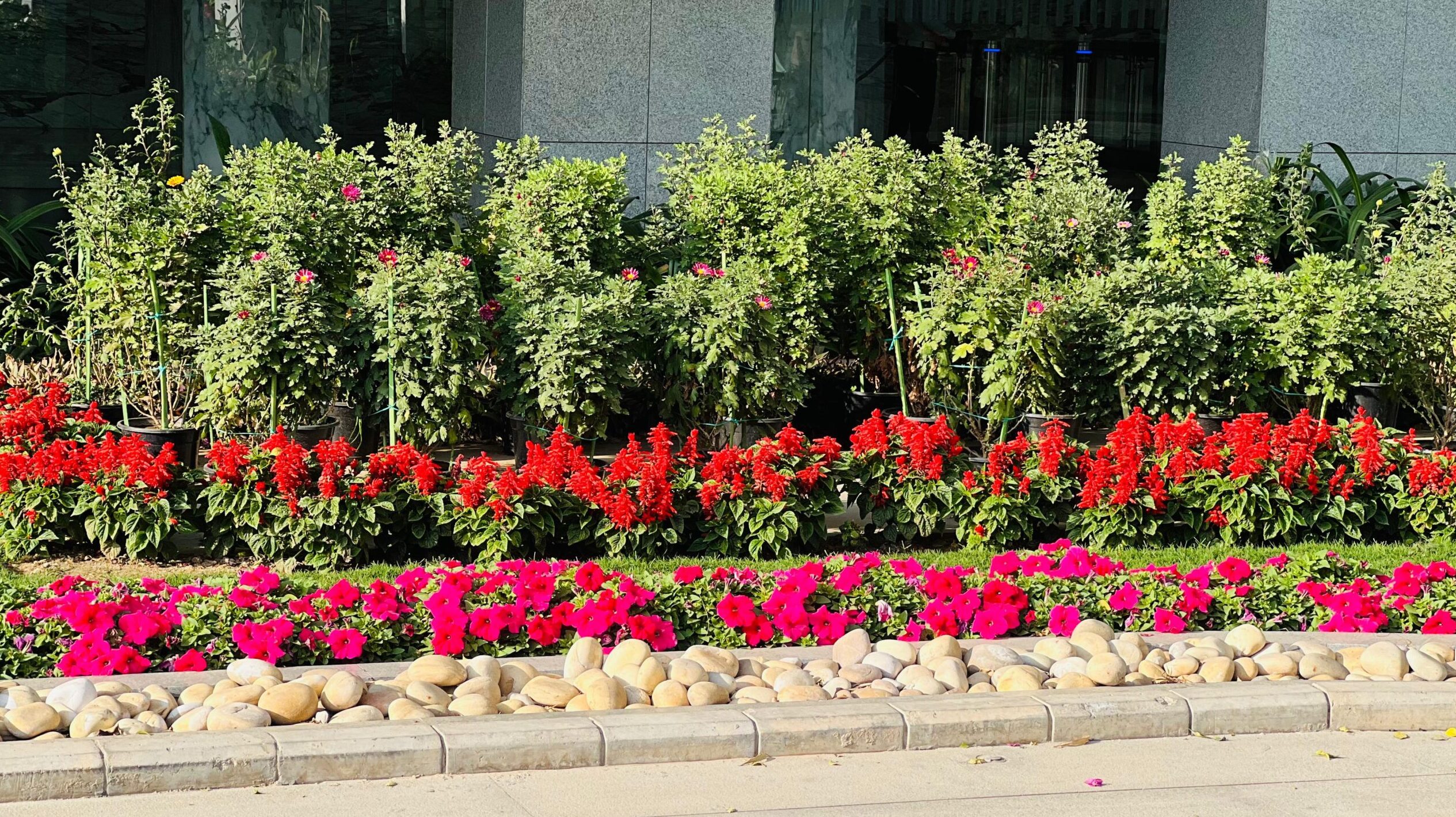 WhatsApp Image 2025-09-22 at 12.36.07 PM (1)