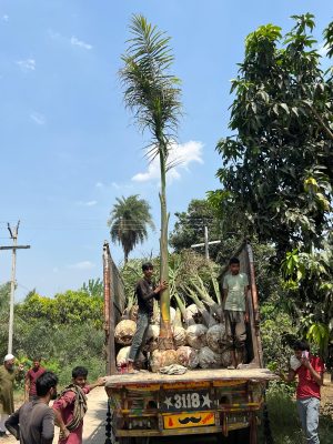 WhatsApp Image 2025-09-21 at 16.27.39 (1)