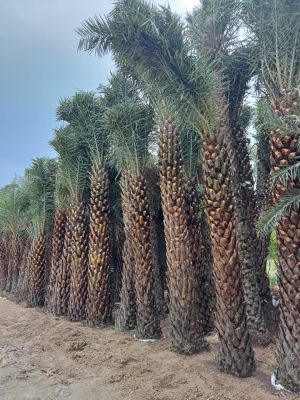 WhatsApp Image 2025-09-21 at 16.27.40 (1)