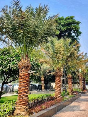 WhatsApp Image 2025-09-21 at 16.27.41 (1)