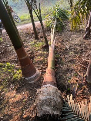 WhatsApp Image 2025-09-21 at 16.27.41