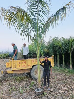 WhatsApp Image 2025-09-21 at 16.27.42 (1)