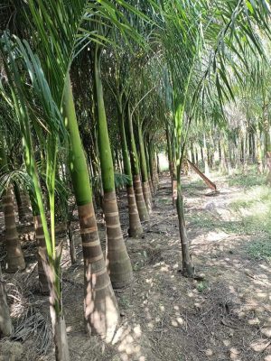 WhatsApp Image 2025-09-21 at 16.27.43 (1)