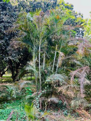 WhatsApp Image 2025-09-21 at 16.27.44