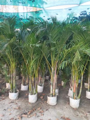 WhatsApp Image 2025-09-21 at 16.27.45 (1)