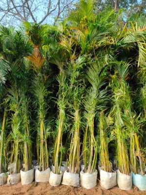 WhatsApp Image 2025-09-21 at 16.27.45