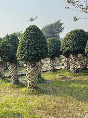 WhatsApp Image 2025-09-21 at 16.30.07