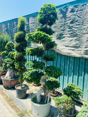 WhatsApp Image 2025-09-21 at 16.30.08 (1)