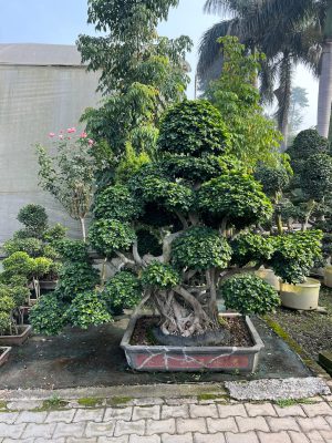 WhatsApp Image 2025-09-21 at 16.30.09 (1)