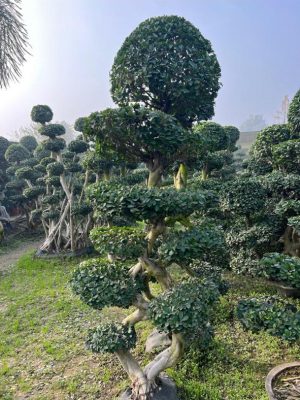 WhatsApp Image 2025-09-21 at 16.30.09