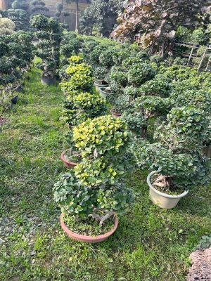 WhatsApp Image 2025-09-21 at 16.30.13 (2)