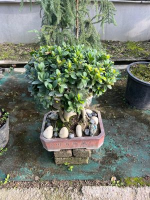 WhatsApp Image 2025-09-21 at 16.30.14