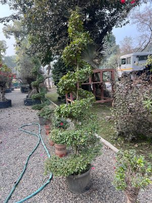 WhatsApp Image 2025-09-21 at 16.30.15 (1)