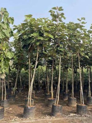 WhatsApp Image 2025-09-21 at 18.44.43