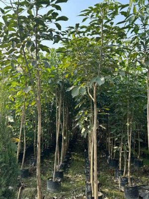 WhatsApp Image 2025-09-21 at 18.44.44