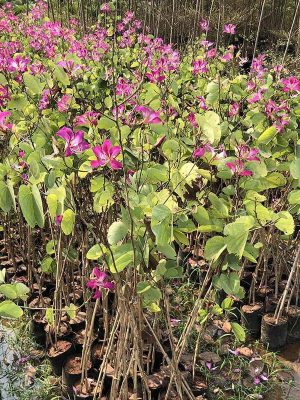 WhatsApp Image 2025-09-22 at 11.55.06 AM (1)