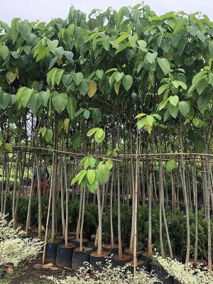 WhatsApp Image 2025-09-22 at 11.55.06 AM