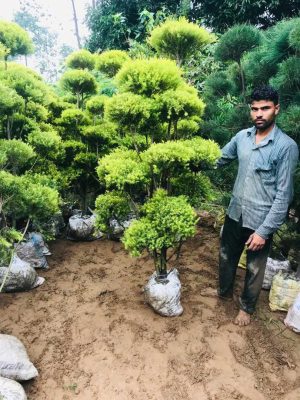 WhatsApp Image 2025-09-22 at 12.05.05 PM (3)