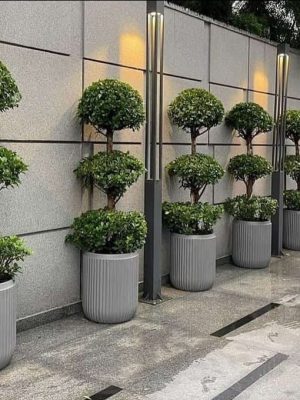 WhatsApp Image 2025-09-22 at 12.05.06 PM (1)