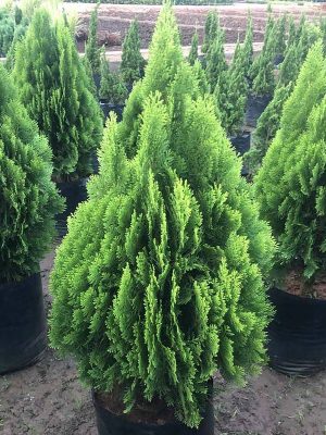 WhatsApp Image 2025-09-22 at 12.05.07 PM (2)