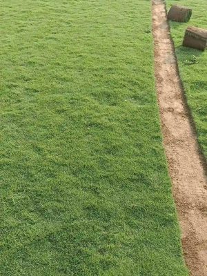 WhatsApp Image 2025-09-22 at 12.25.17 PM (1)