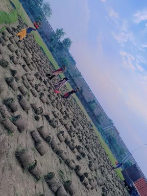 WhatsApp Image 2025-09-22 at 12.25.17 PM