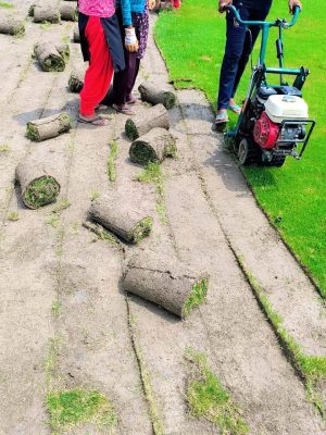 WhatsApp Image 2025-09-22 at 12.25.18 PM (1)