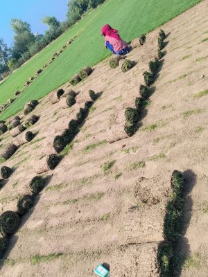 WhatsApp Image 2025-09-22 at 12.25.18 PM