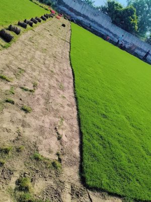 WhatsApp Image 2025-09-22 at 12.25.19 PM (1)