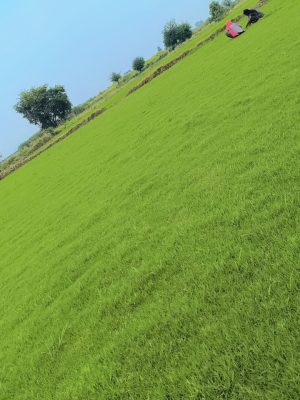 WhatsApp Image 2025-09-22 at 12.25.19 PM