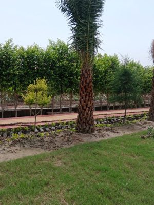 WhatsApp Image 2025-09-22 at 12.30.54 PM