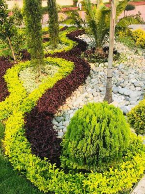 WhatsApp Image 2025-09-22 at 12.30.55 PM (1)