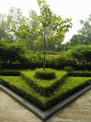 WhatsApp Image 2025-09-22 at 12.30.56 PM