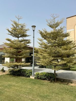 WhatsApp Image 2025-09-22 at 12.30.57 PM