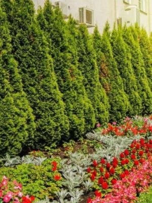 WhatsApp Image 2025-09-22 at 12.30.58 PM (1)