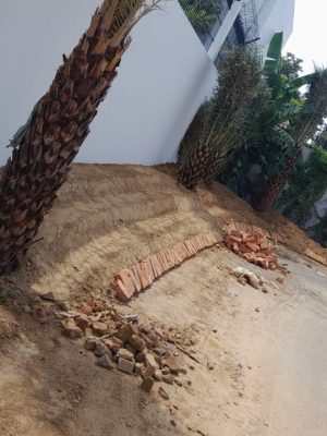 WhatsApp Image 2025-09-22 at 12.35.57 PM (1)