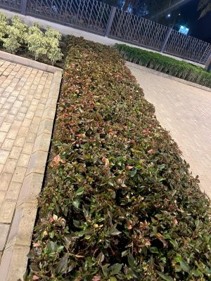 WhatsApp Image 2025-09-22 at 12.35.57 PM (2)