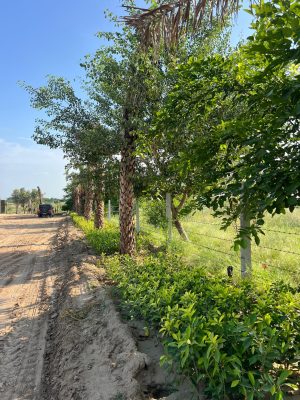 WhatsApp Image 2025-09-22 at 12.35.57 PM