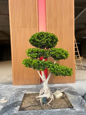 WhatsApp Image 2025-09-22 at 12.35.58 PM (3)