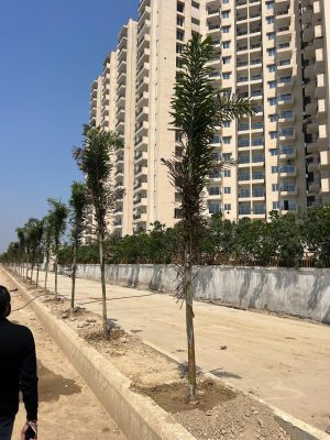 WhatsApp Image 2025-09-22 at 12.35.59 PM (1)