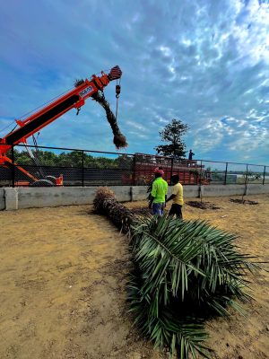 WhatsApp Image 2025-09-22 at 12.35.59 PM