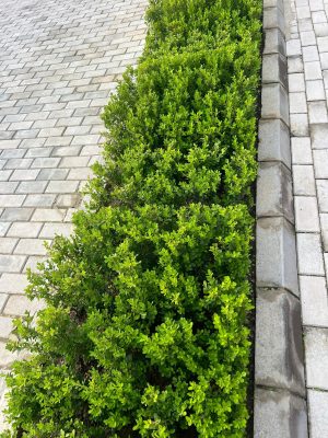 WhatsApp Image 2025-09-22 at 12.36.00 PM (1)