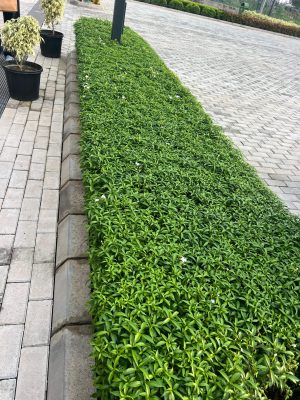 WhatsApp Image 2025-09-22 at 12.36.00 PM (2)