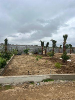 WhatsApp Image 2025-09-22 at 12.36.00 PM