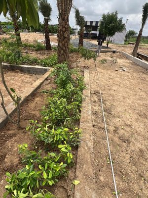 WhatsApp Image 2025-09-22 at 12.36.01 PM (1)