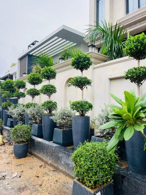 WhatsApp Image 2025-09-22 at 12.36.01 PM