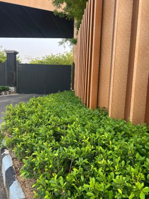 WhatsApp Image 2025-09-22 at 12.36.03 PM (1)