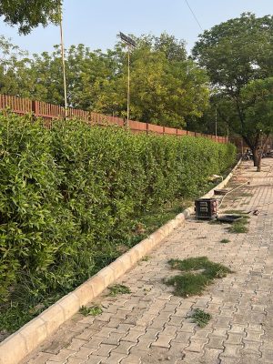 WhatsApp Image 2025-09-22 at 12.36.03 PM