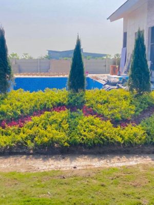 WhatsApp Image 2025-09-22 at 12.36.04 PM