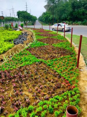 WhatsApp Image 2025-09-22 at 12.36.05 PM (1)